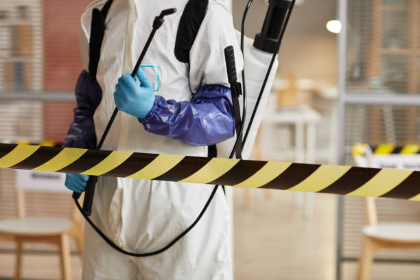 Professional Sewage Cleanup technician working in Jonesboro, IL